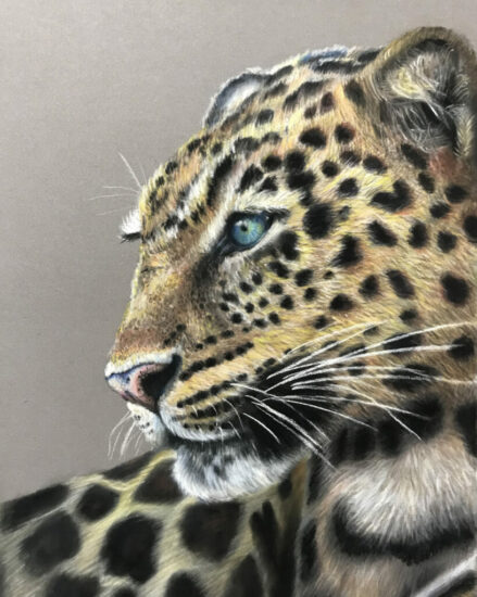 SOLD. Leopard 24x30 Pastels